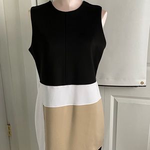 Reed Colorblock dress 12